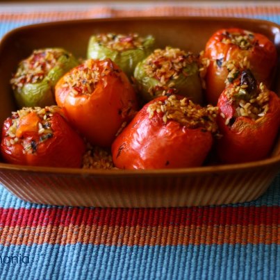 Tave me speca te mbushur me mish te grire | Receta Kuzhine